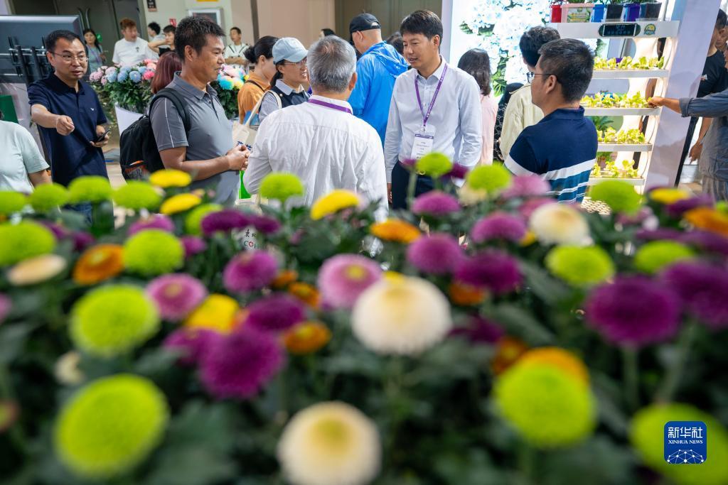 大班bet登陆